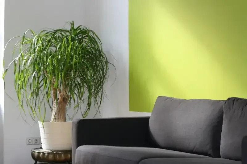 Modne kolory ścian do salonu: Odważne inspiracje
